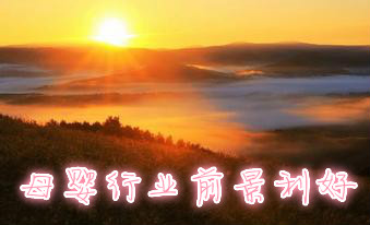 母婴行业前景