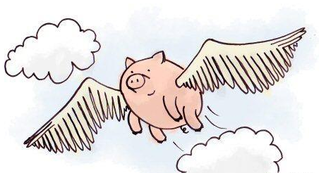 二胎政策将是母婴行业的一个新风口,雷军曾说:“站在风口上,猪都能飞”。