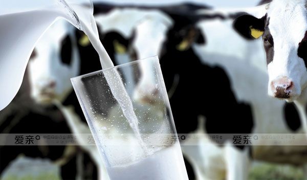 乳制品价格持续波动，企业应做好风险预估